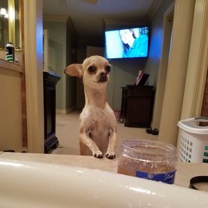 Meet your Posher, Sarah